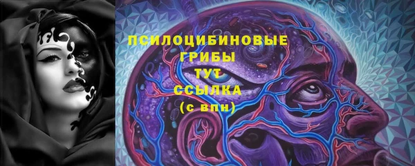 марки lsd Белокуриха